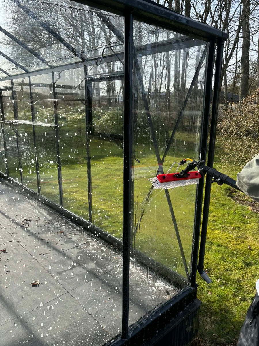 Eske pudser drivhusets glaspartier med teleskopstang og vandfødt børste